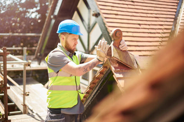 Best Roof Gutter Cleaning  in Vernon, TX